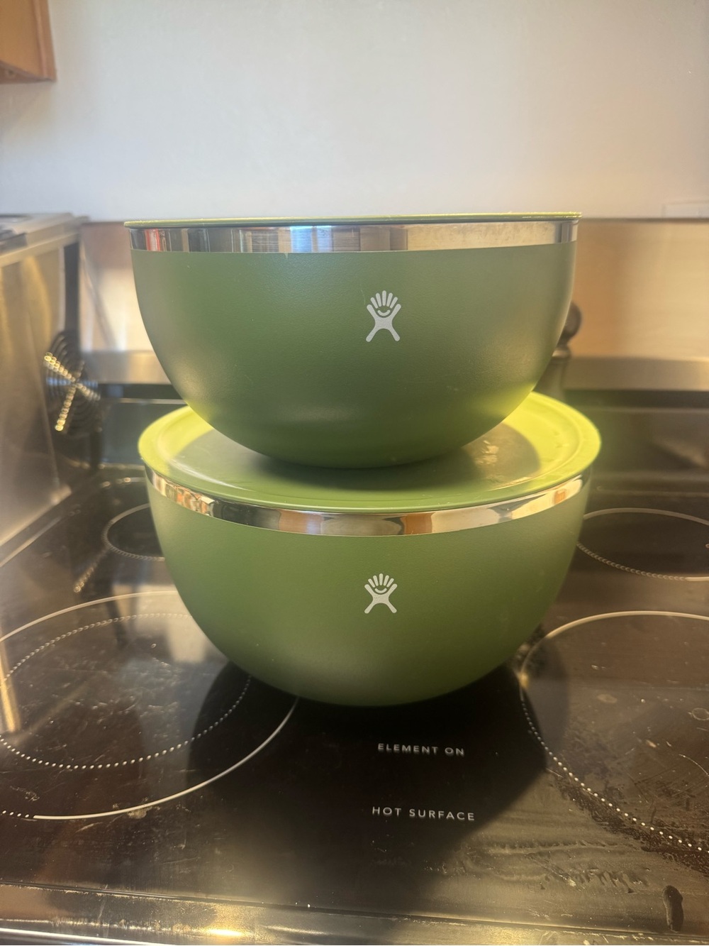 Hydro Flask Olive Green Stainless Steel Bowls with Olive Lids